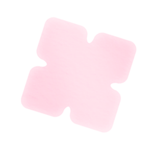 The ORCHID Skin Pink Fantasy Lady Nipple Patch - The Fonz - Le Charme