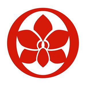 THE ORCHID SKIN - The Fonz - Le Charme